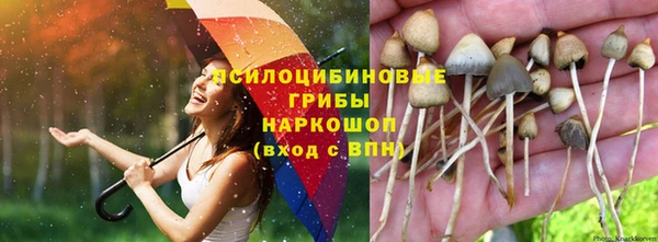гашик Алзамай